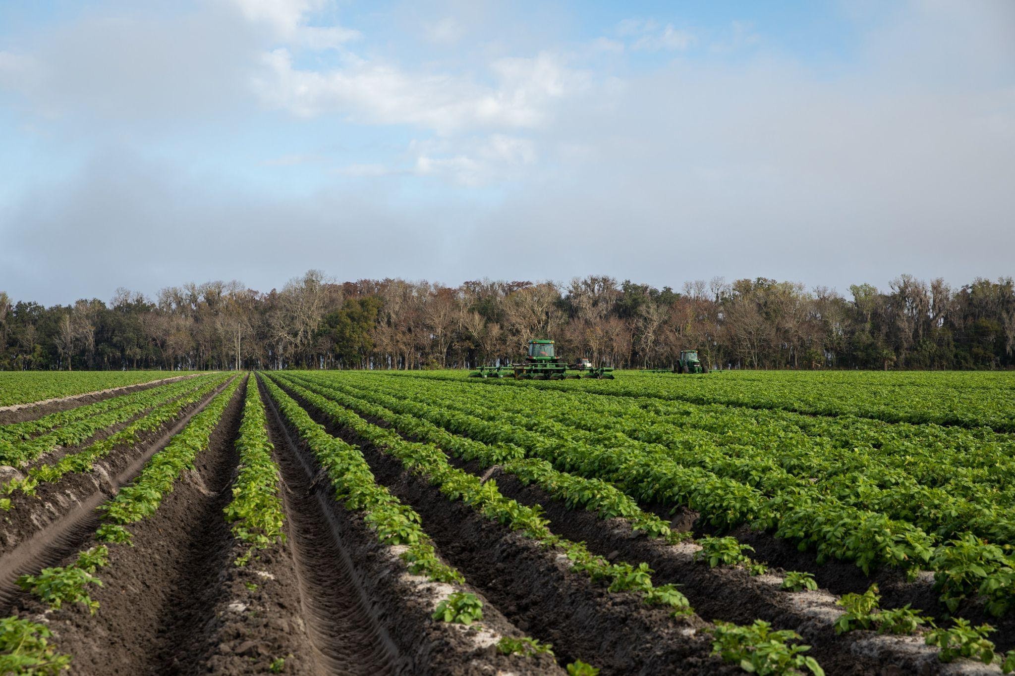 Leading The Field On Local Solutions For Sustainable Farming